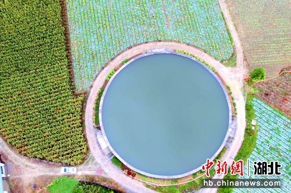 柏楊壩鎮(zhèn)水池航拍 張小溪供圖