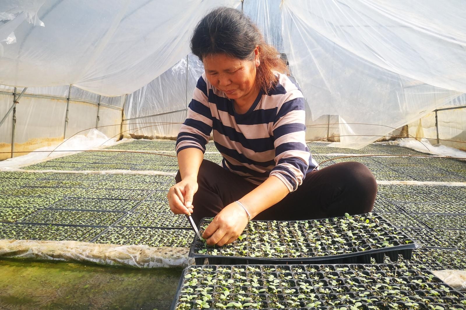 1020240118162013_proc.jpg 1020240118162013_proc.jpg