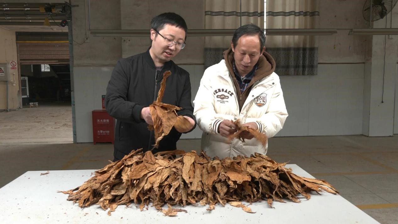 1706682134711853.jpg 1706682134711853.jpg