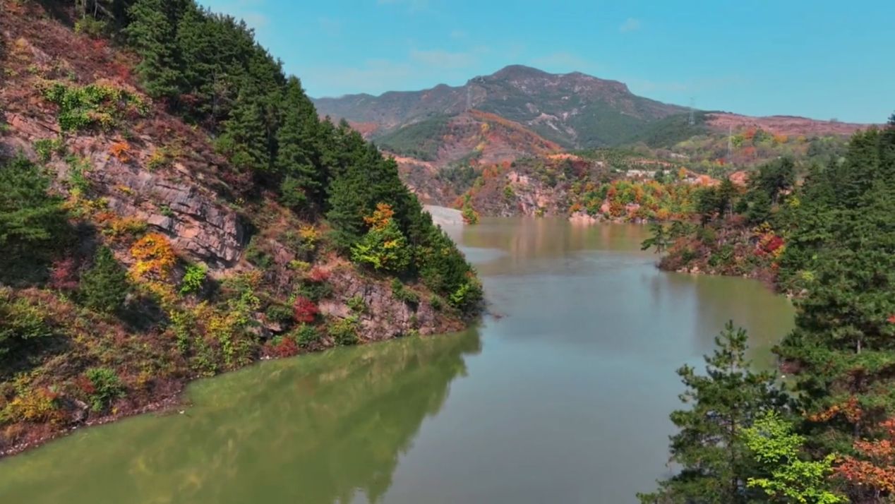 1709189814804053.png 1709189814804053.png