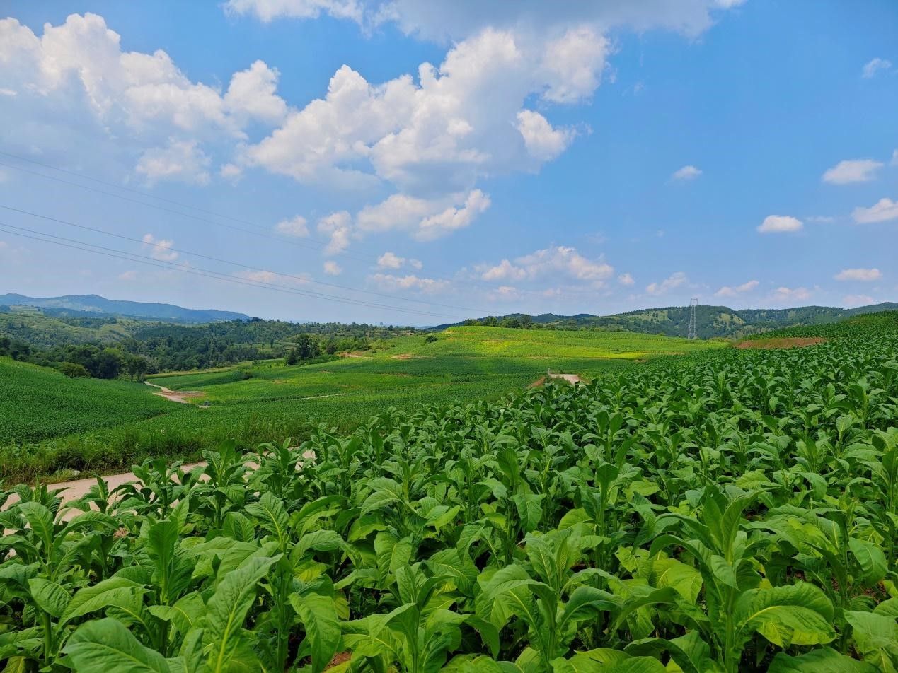 1709189821330478.jpg 1709189821330478.jpg