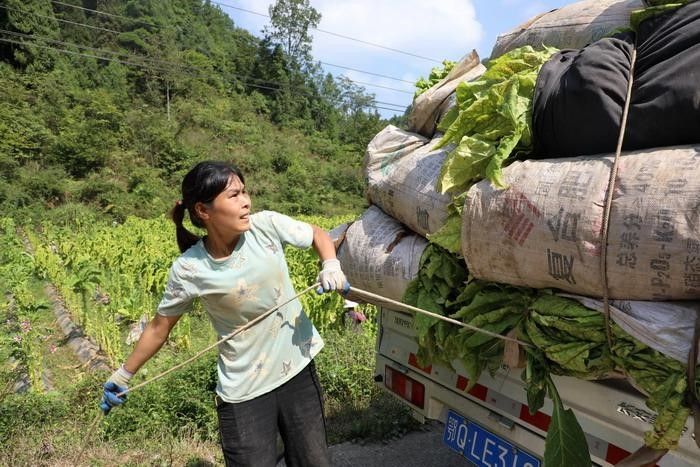 1711089557154104.jpg 1.jpg