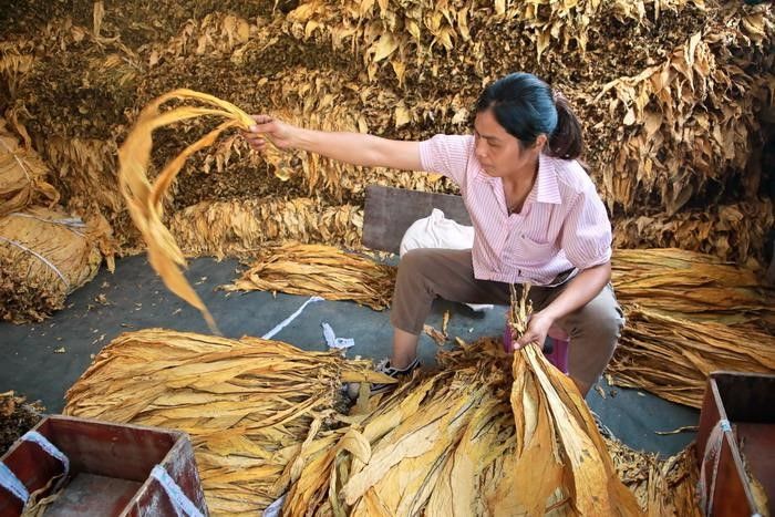 1711089562260809.jpg 2.jpg