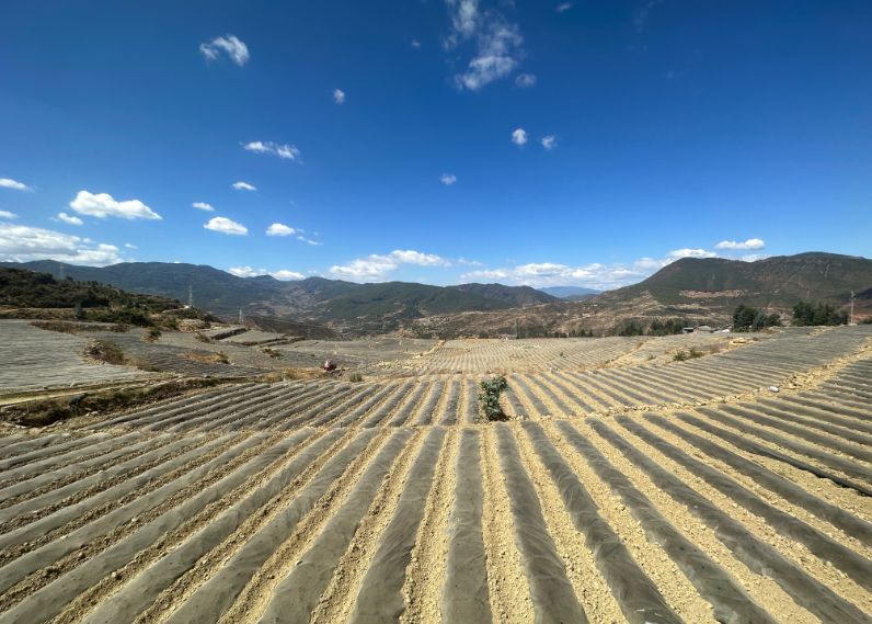 微信圖片_20240411150519.png 微信圖片_20240411150519.png