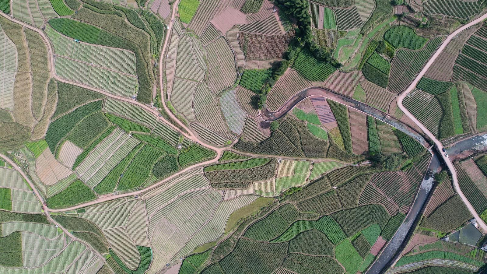 2c17a3eb-f5ed-417d-a354-2f624466a361.jpg 2c17a3eb-f5ed-417d-a354-2f624466a361.jpg