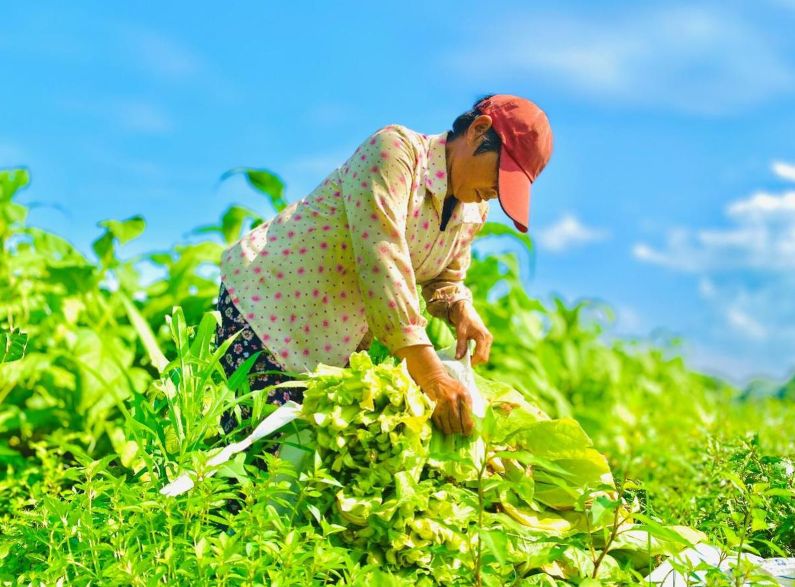 微信圖片_20240612091250.png 微信圖片_20240612091250.png