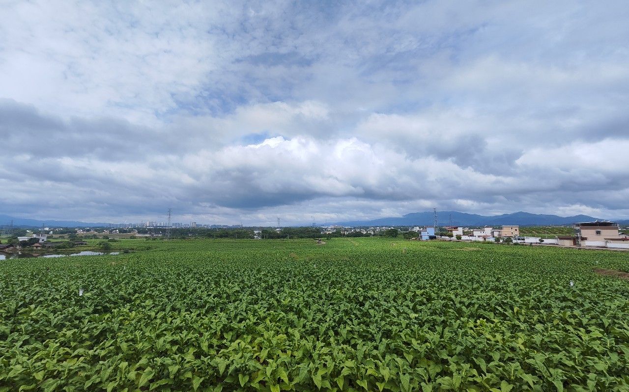 微信圖片_20240620094141.jpg 微信圖片_20240620094141.jpg