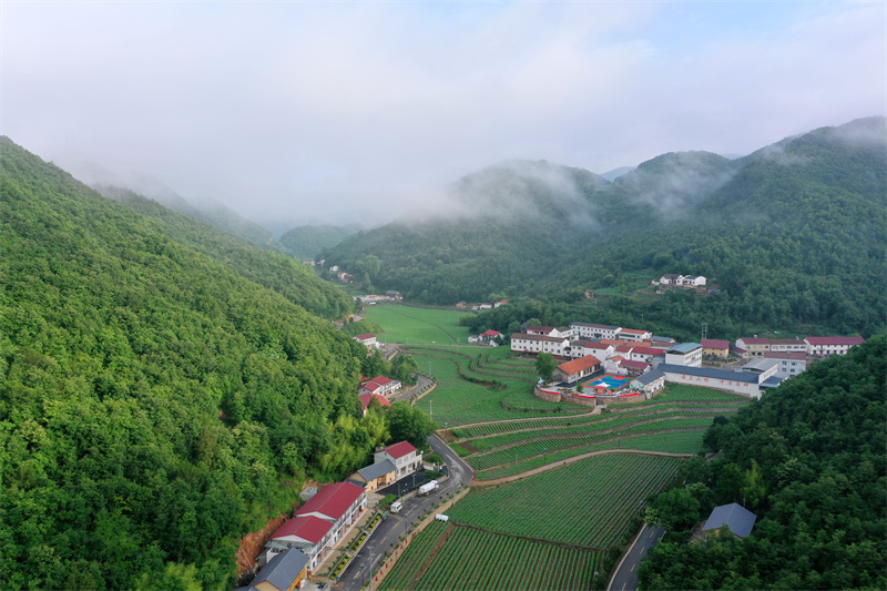 湖北省?？悼h麻坪村