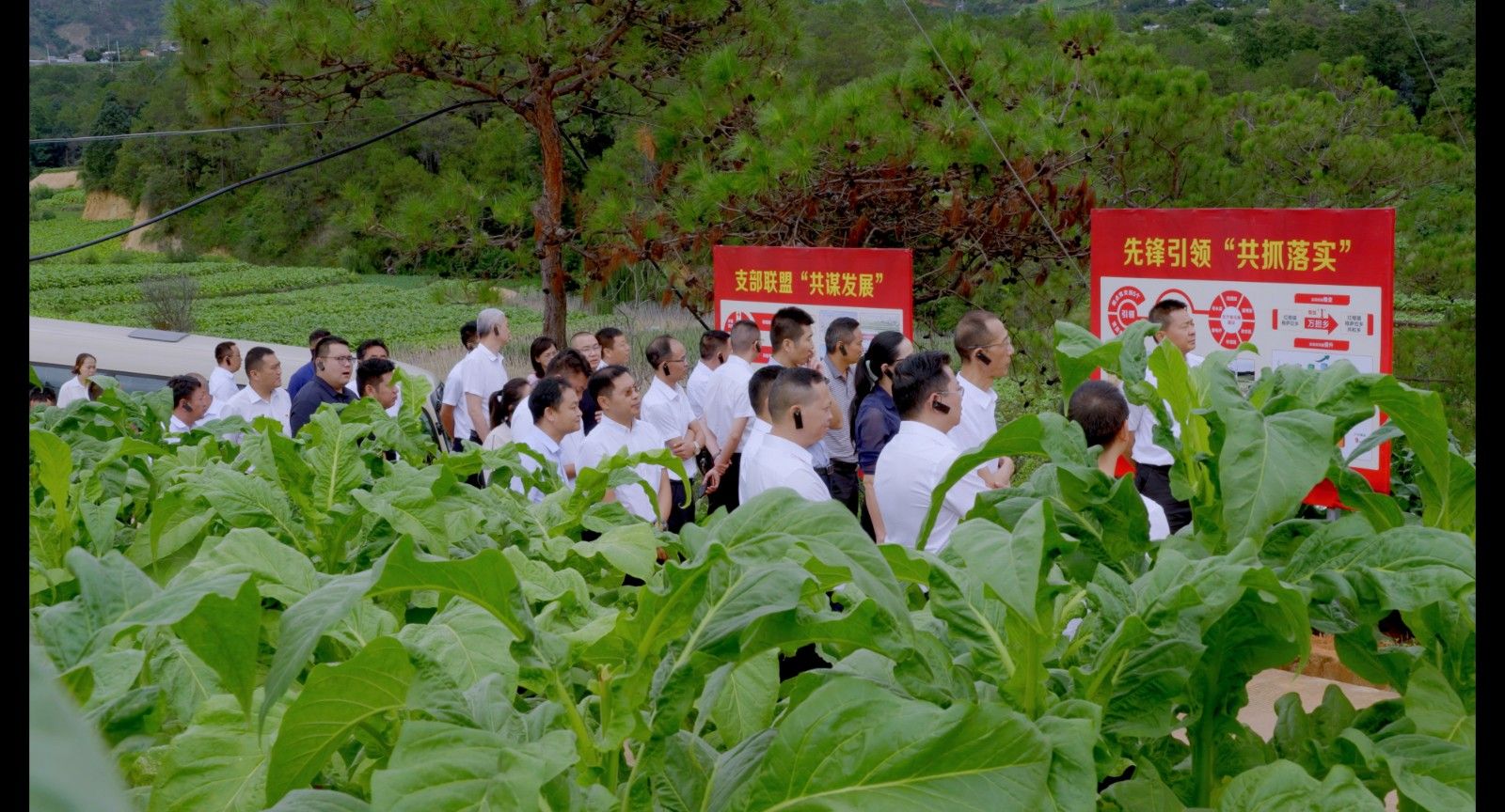 全市烤煙高質(zhì)量發(fā)展現(xiàn)場(chǎng)會(huì).jpg 全市烤煙高質(zhì)量發(fā)展現(xiàn)場(chǎng)會(huì).jpg