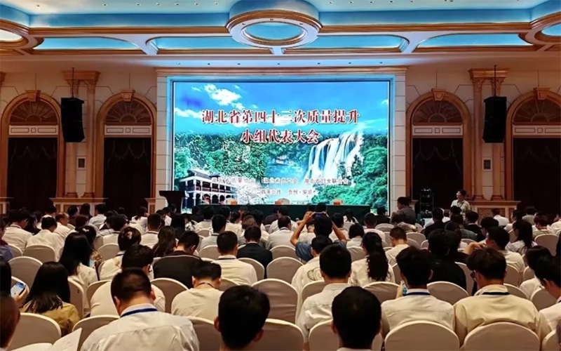 湖北省第43次質(zhì)量提升小組代表大會現(xiàn)場