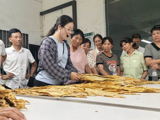 圖為安福煙區(qū)2024年度專業(yè)化分級(jí)隊(duì)伍培訓(xùn)會(huì)現(xiàn)場(chǎng)