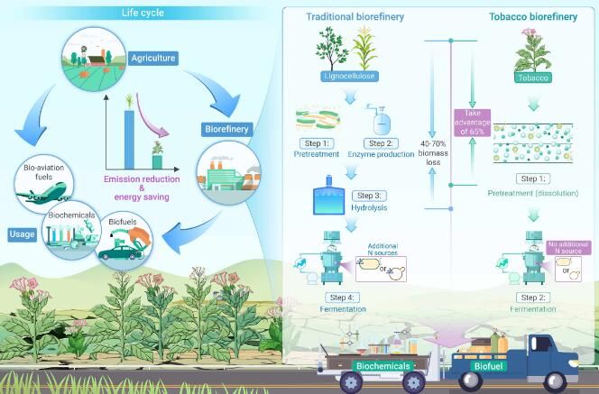 96836024ED3829BA5846544CEA8D9EE8.jpg 96836024ED3829BA5846544CEA8D9EE8.jpg