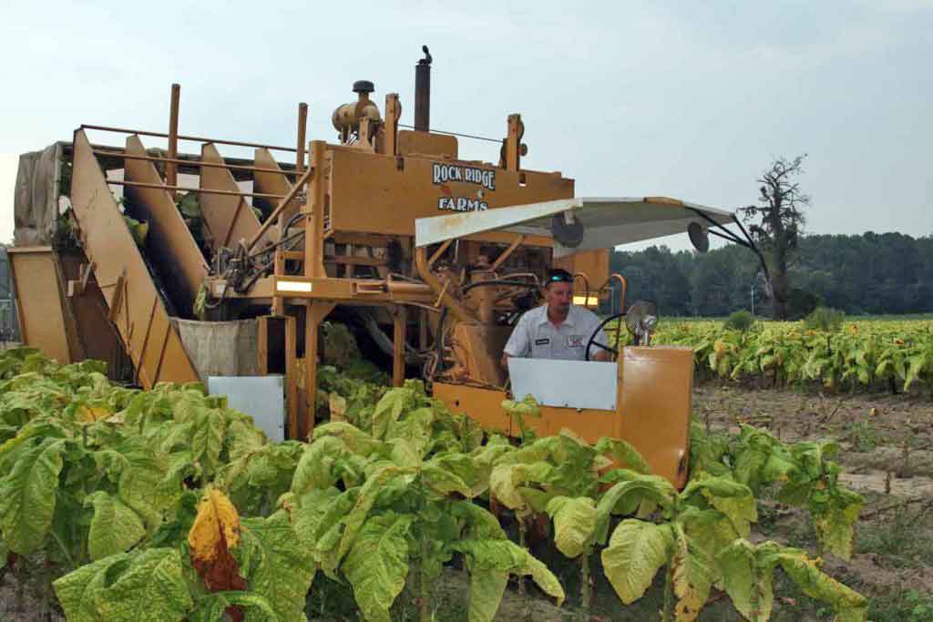 usa-farm-1024x683-1.jpg