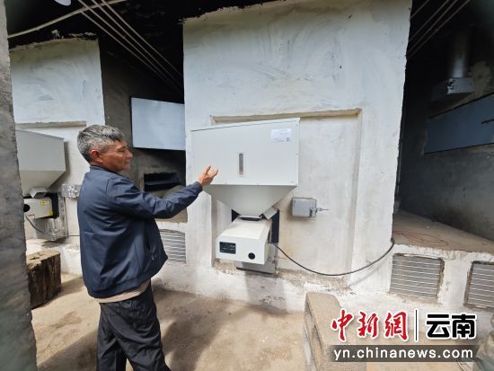 九華清介紹生物質(zhì)燃料烤房的使用要點(木嬌 攝)