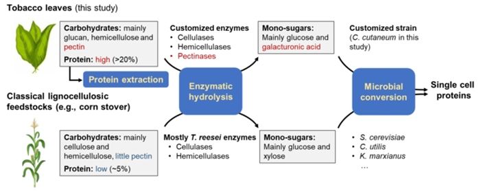 00B64FECA6C9A3BB609ACB0E00ADF6C7.jpg 00B64FECA6C9A3BB609ACB0E00ADF6C7.jpg
