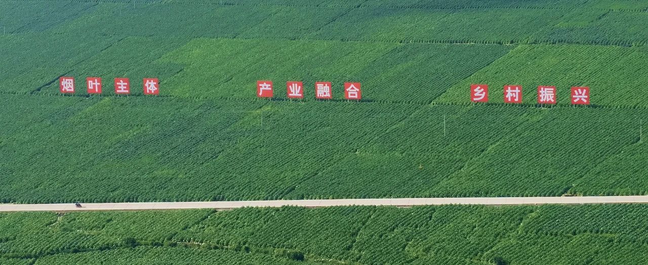 微信圖片_20241017103903.jpg 微信圖片_20241017103903.jpg