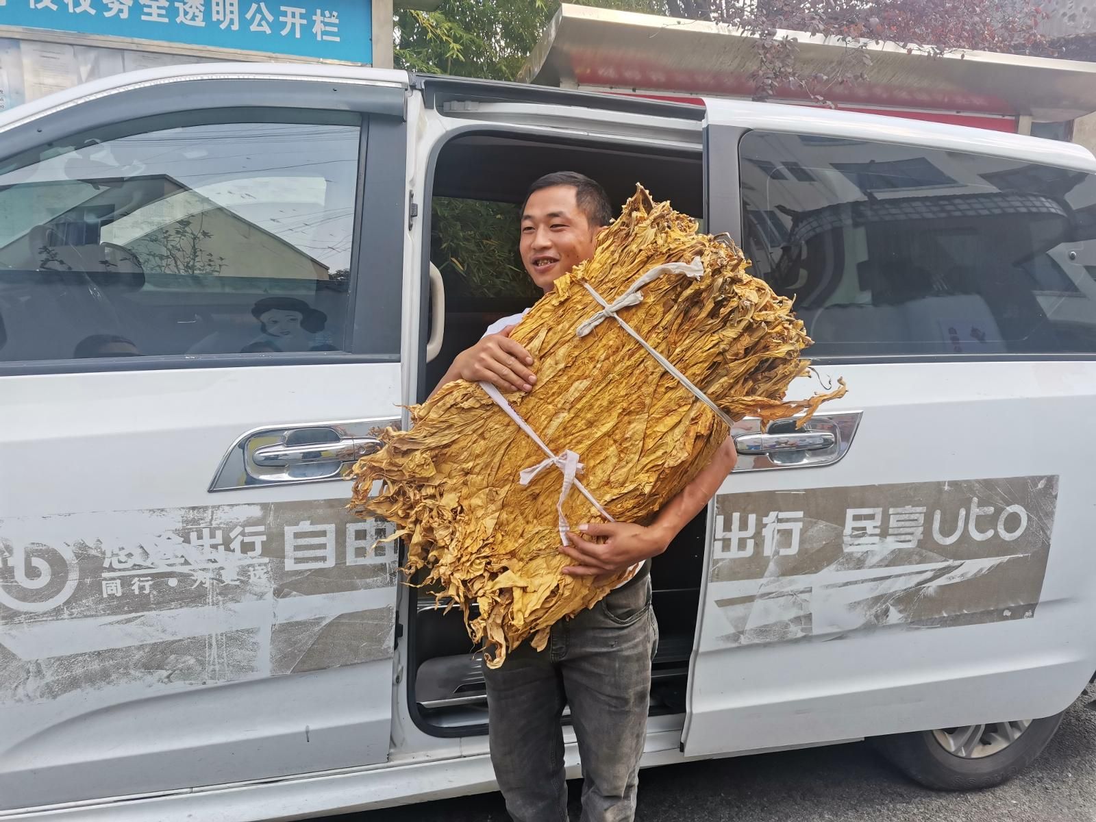 b0e56611-68db-4f6d-9512-a5452bcc4f6f.jpg b0e56611-68db-4f6d-9512-a5452bcc4f6f.jpg