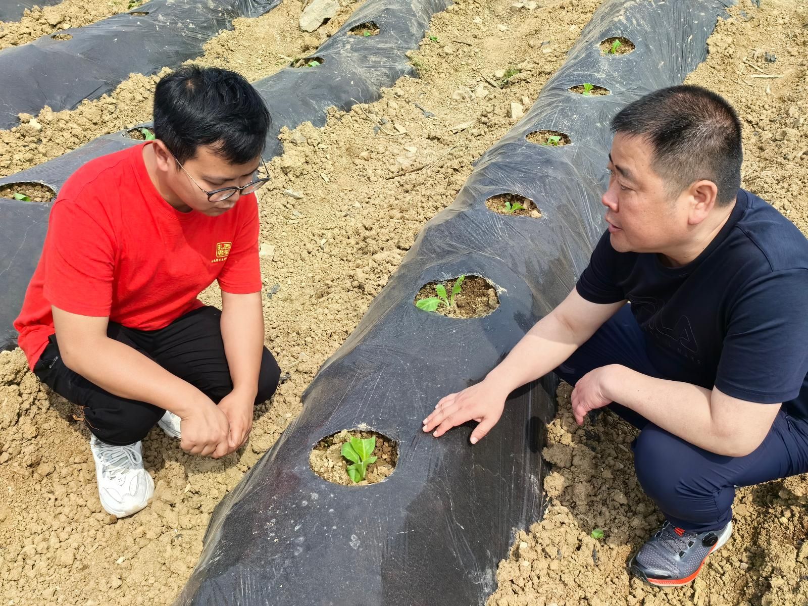 08260aa4-09c1-48b2-95f9-e355d6bd6c92.jpg 08260aa4-09c1-48b2-95f9-e355d6bd6c92.jpg