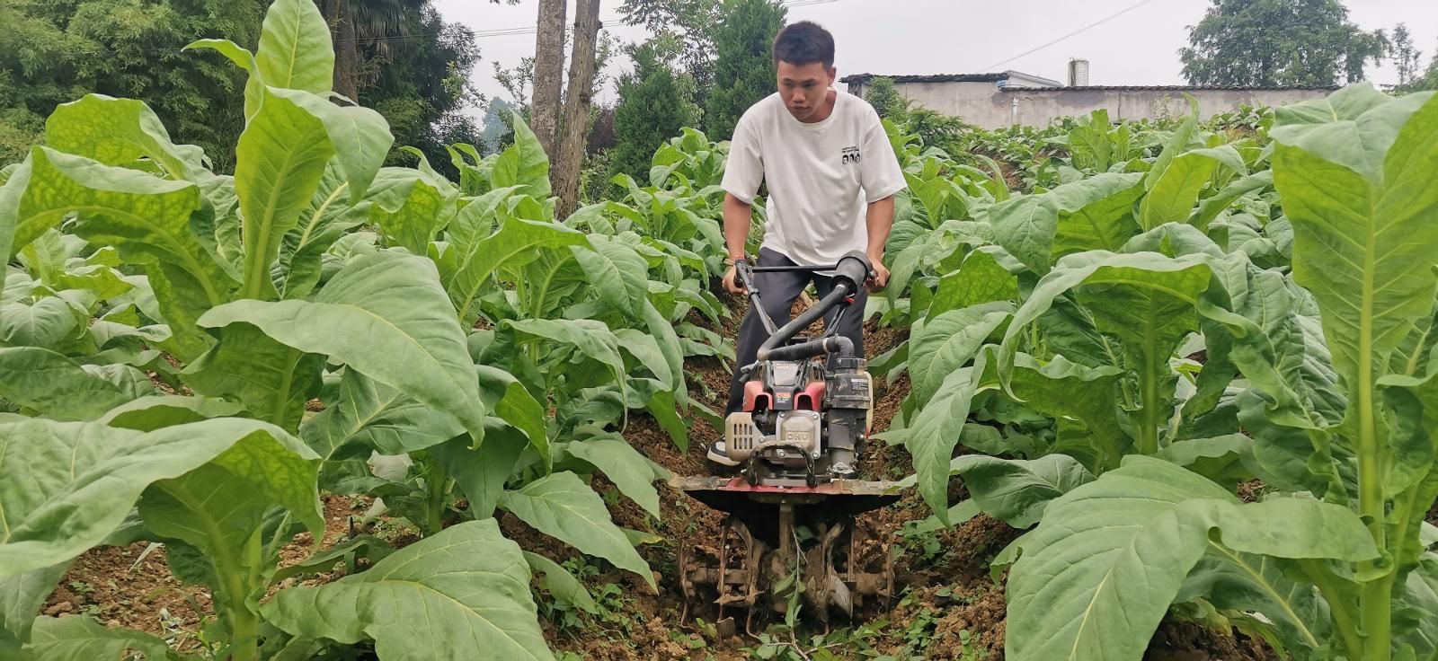 1315e2e1-5b18-4ebf-a987-4abe67d9c19b.jpg 1315e2e1-5b18-4ebf-a987-4abe67d9c19b.jpg