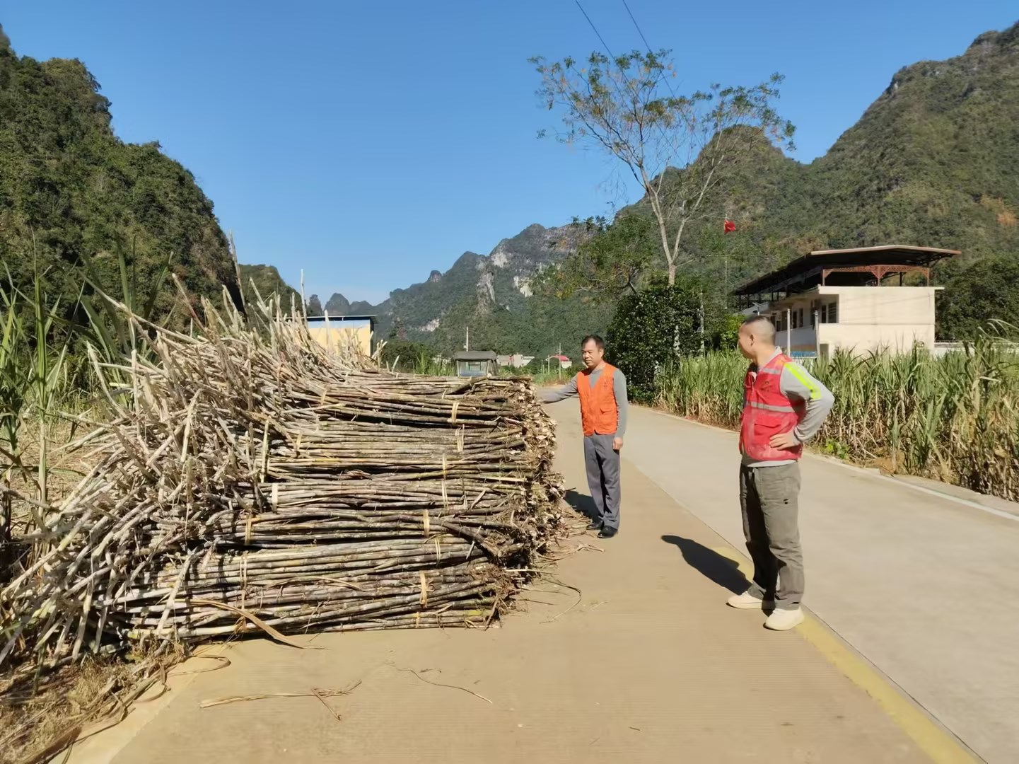 駐村隊(duì)員查看榨季交通道路情況.jpg