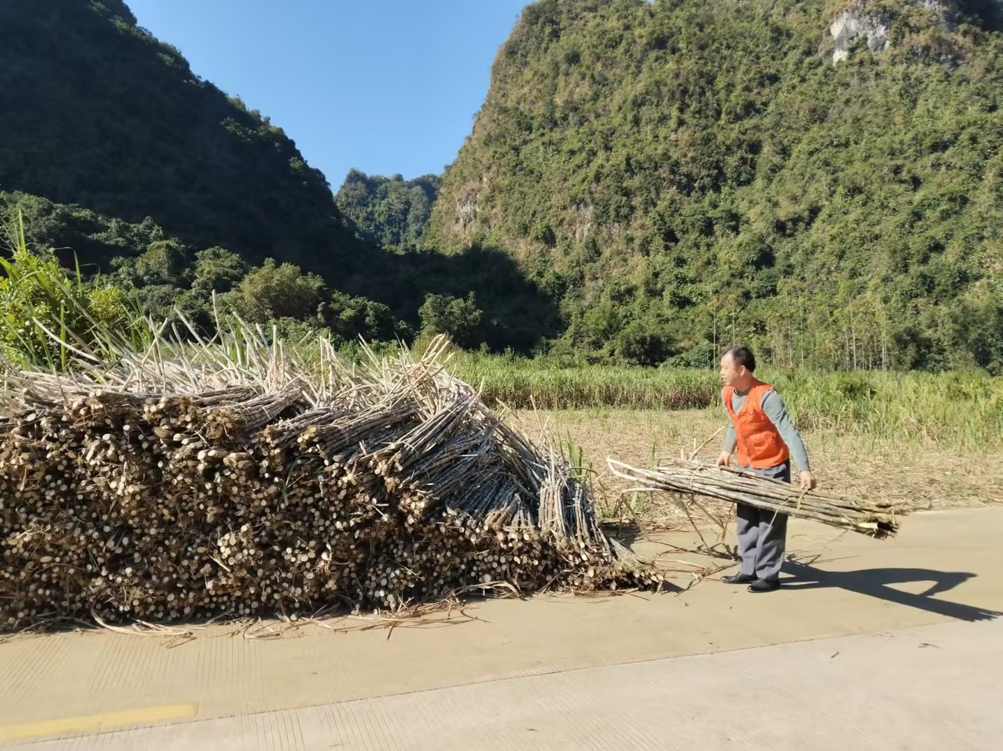 駐村隊(duì)員將掉在路中間的甘蔗堆疊好.jpg