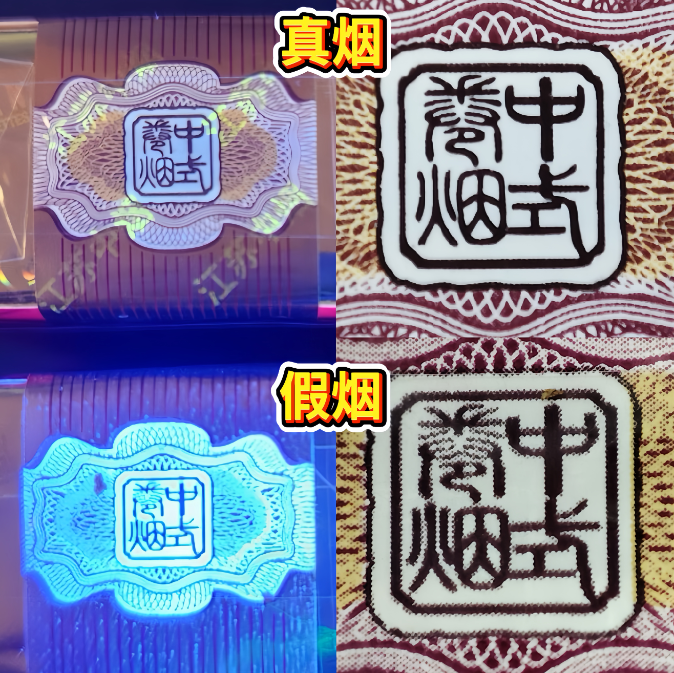 微信圖片_20241219153046.png