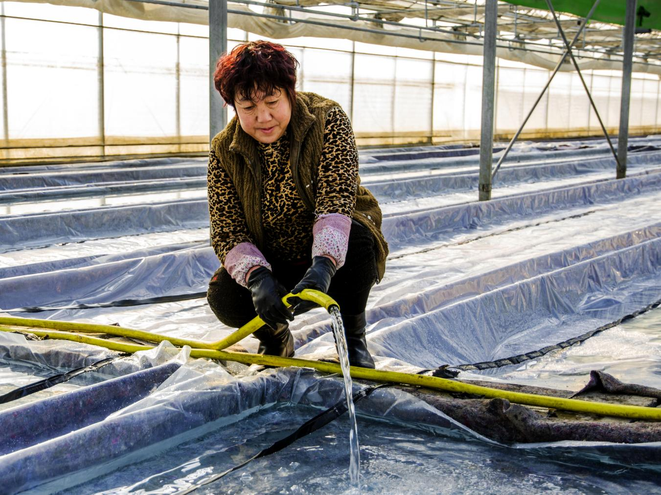 圖為專業(yè)隊員進行苗池灌水作業(yè)