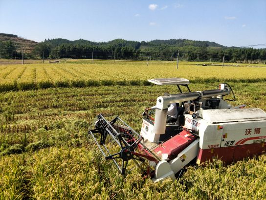 20250317162521011T5121.png 20250317162521011T5121.png