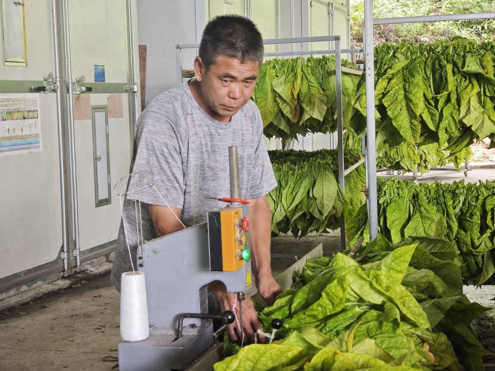 20250317162235386T5122.png 20250317162235386T5122.png