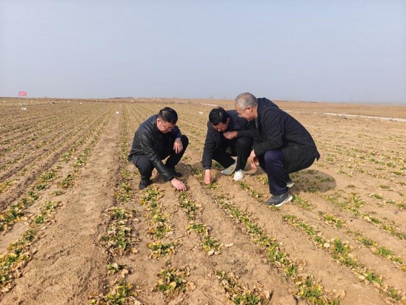 67da50aae4b0ccc959931b7d_m.jpeg 67da50aae4b0ccc959931b7d_m.jpeg