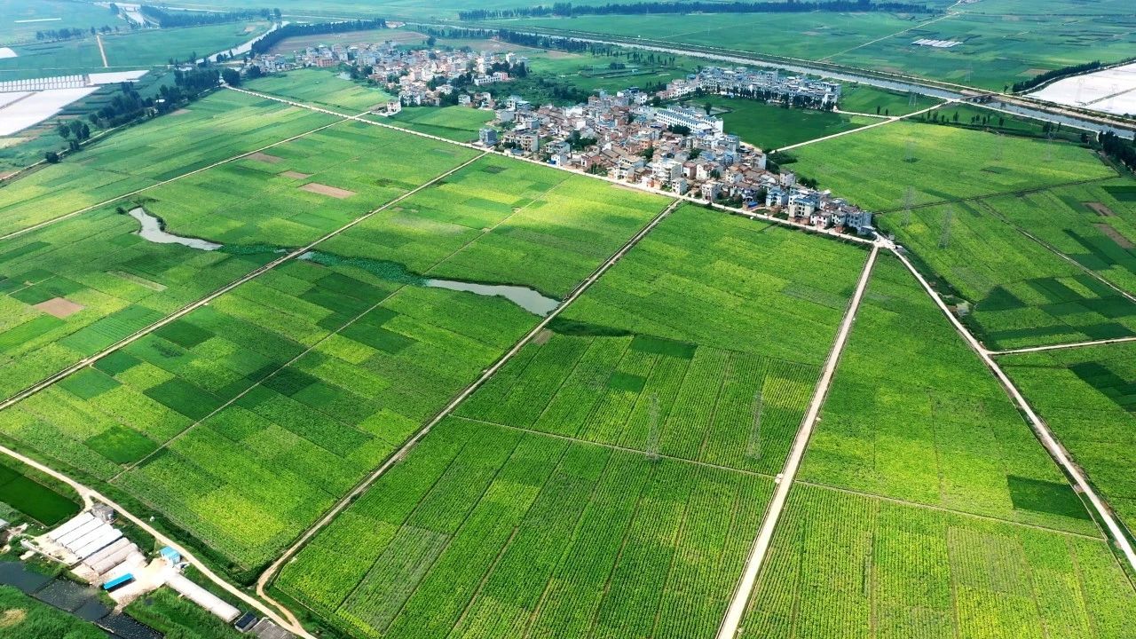 微信圖片_20250325103832.jpg 微信圖片_20250325103832.jpg