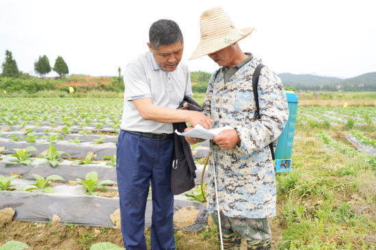 圖為農(nóng)場主李青山與技術員共研煙葉病害