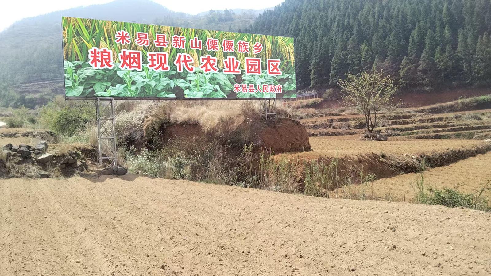 米易縣新山鄉(xiāng)高隆村金葉共富單元糧煙現(xiàn)代農(nóng)業(yè)園區(qū).jpg