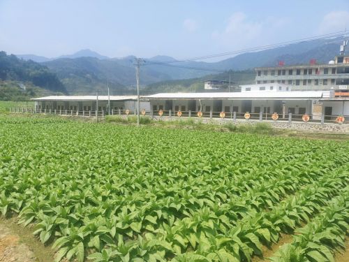 20250407164946077T0994.jpg 20250407164946077T0994.jpg