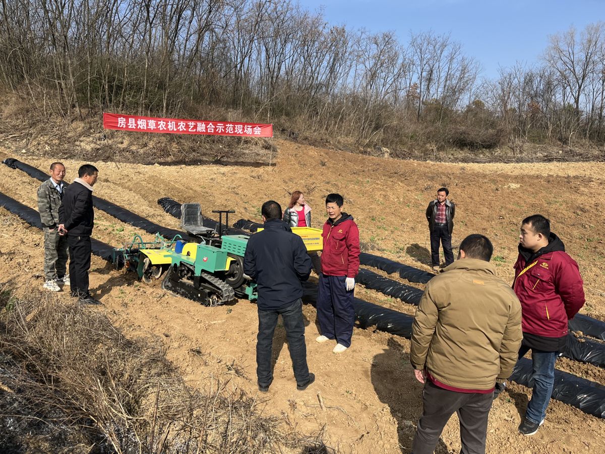 67f4ddd7a310e29a7992a54d.png 67f4ddd7a310e29a7992a54d.png