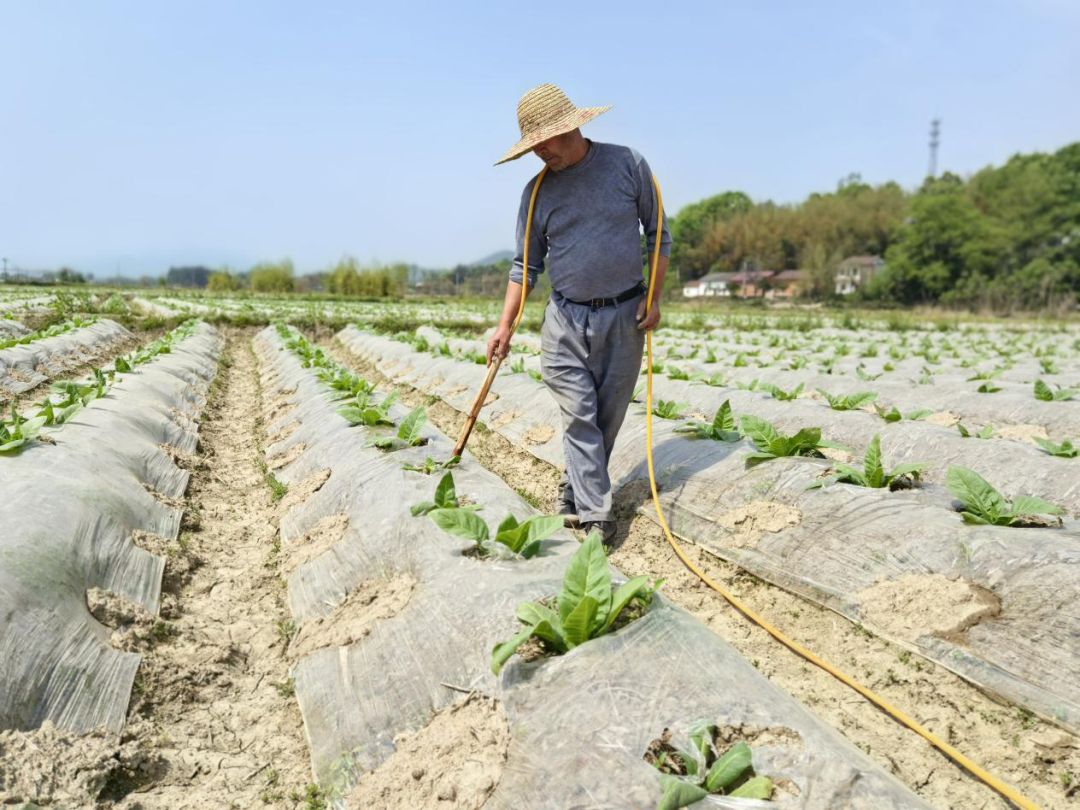 微信圖片_20250411112644.png 微信圖片_20250411112644.png