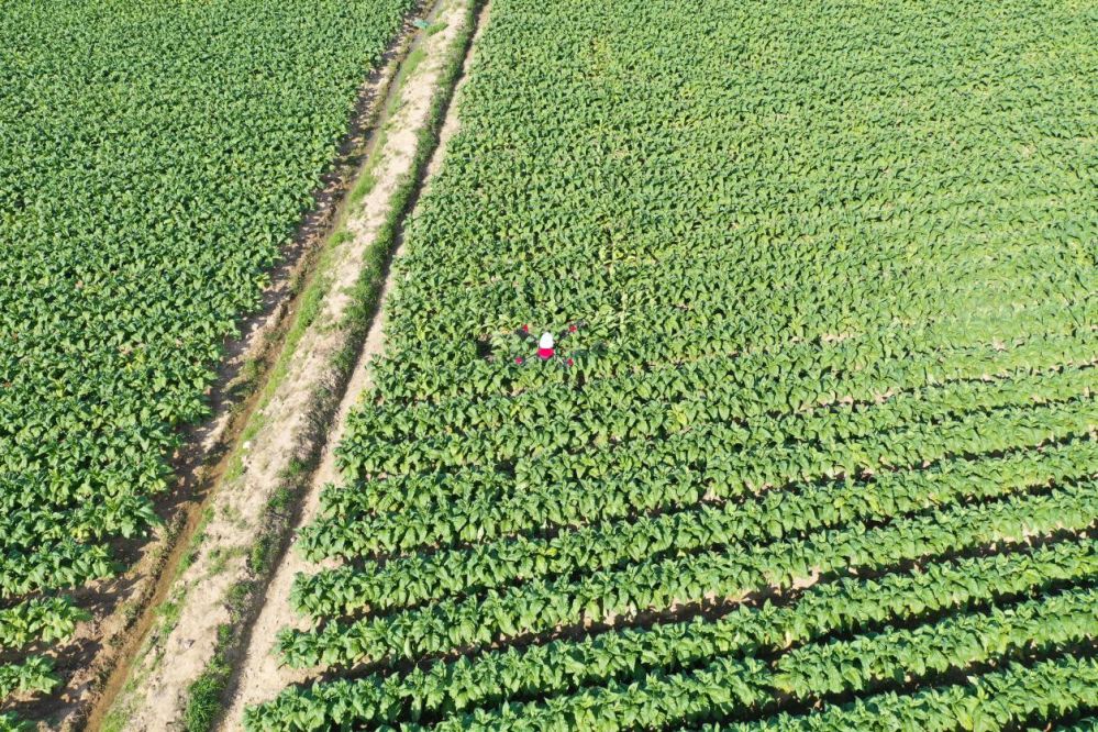 微信圖片_20250411112734.png 微信圖片_20250411112734.png