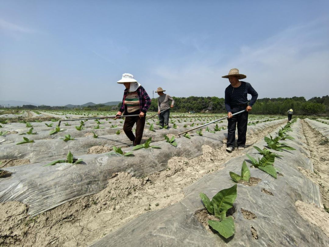 微信圖片_20250411112800.png 微信圖片_20250411112800.png