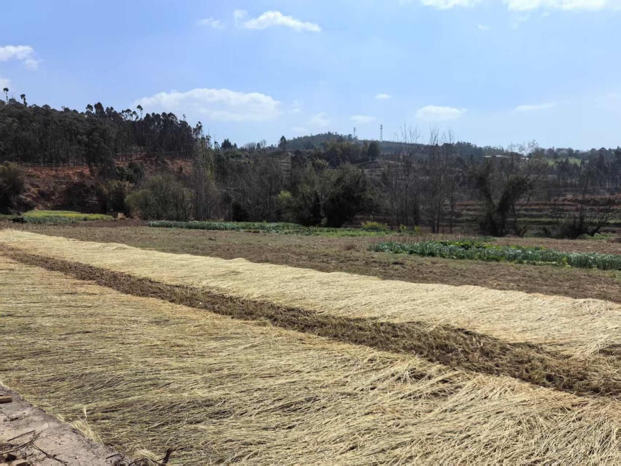 daec8fd9-937a-4505-a648-4093314654ac (1).png daec8fd9-937a-4505-a648-4093314654ac (1).png