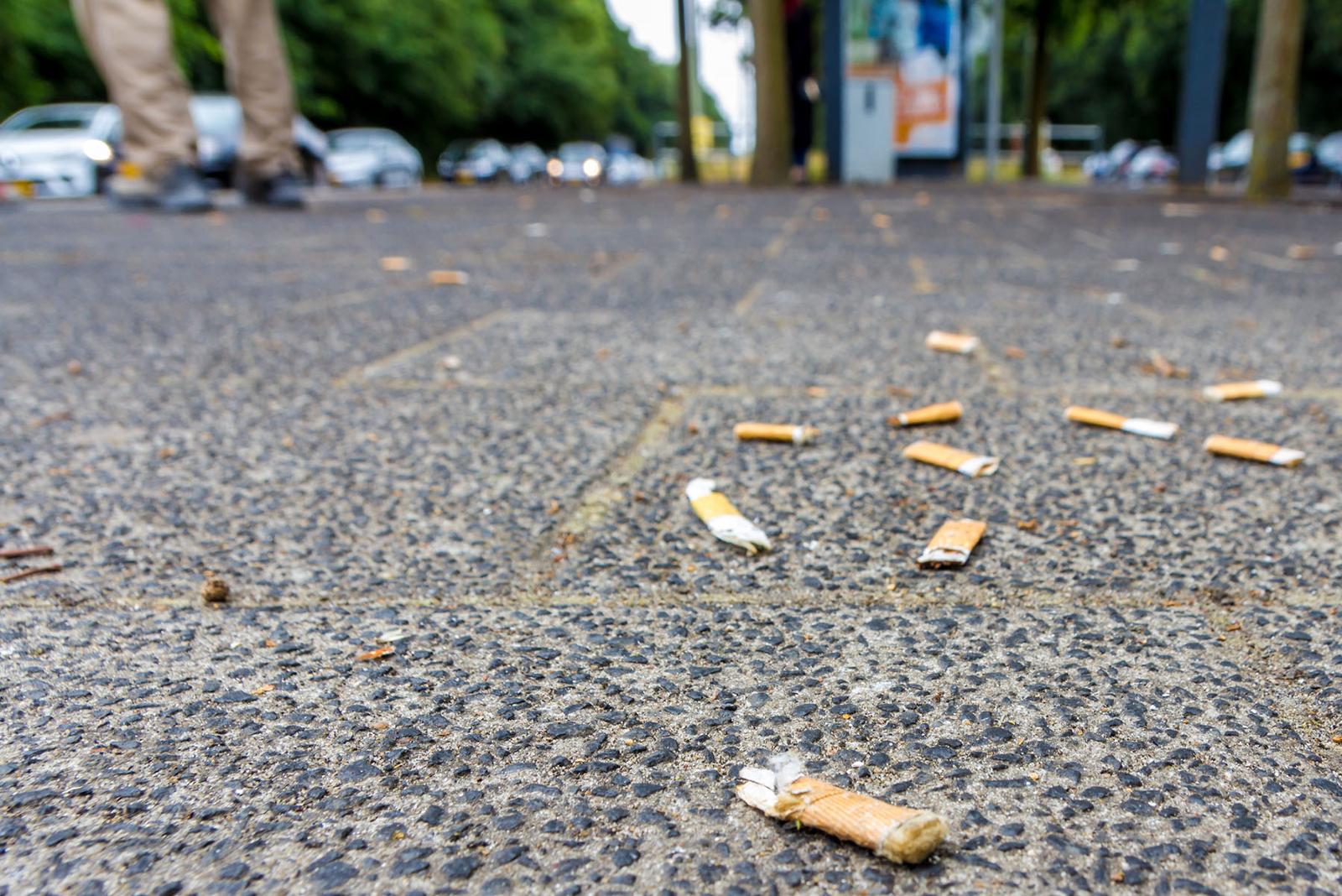 Cigarette-litter.jpg