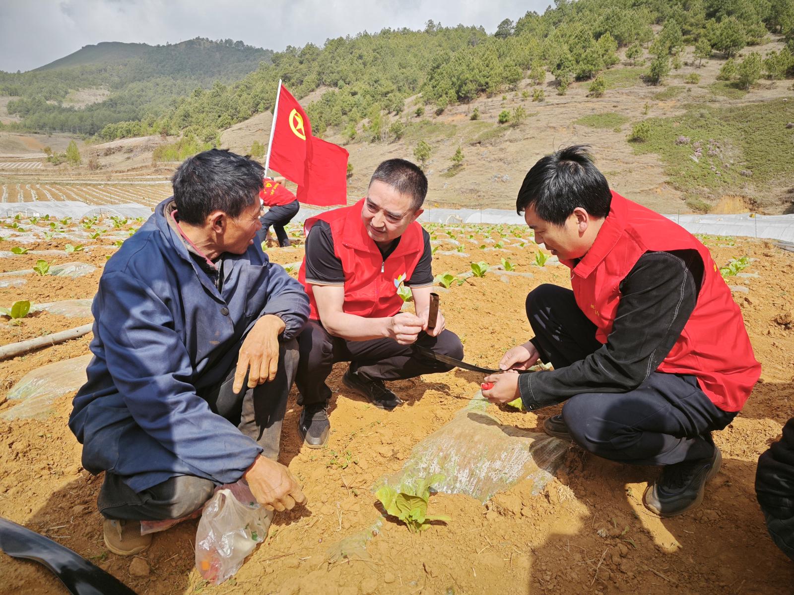 水肥一體化安裝技術(shù)講解現(xiàn)場.jpg