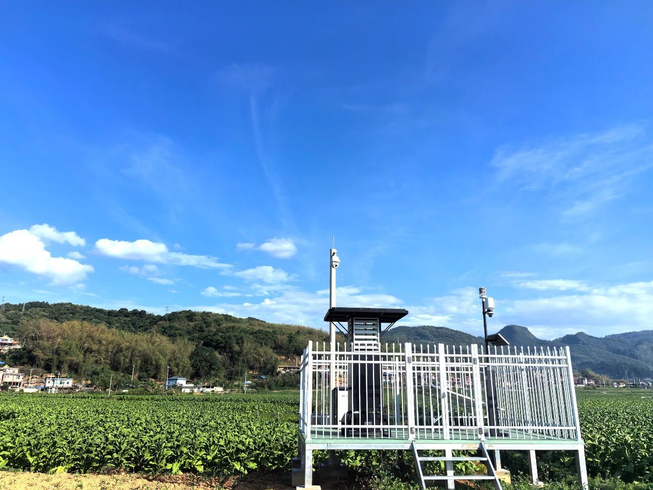 微信圖片_20250625161327.jpg 微信圖片_20250625161327.jpg