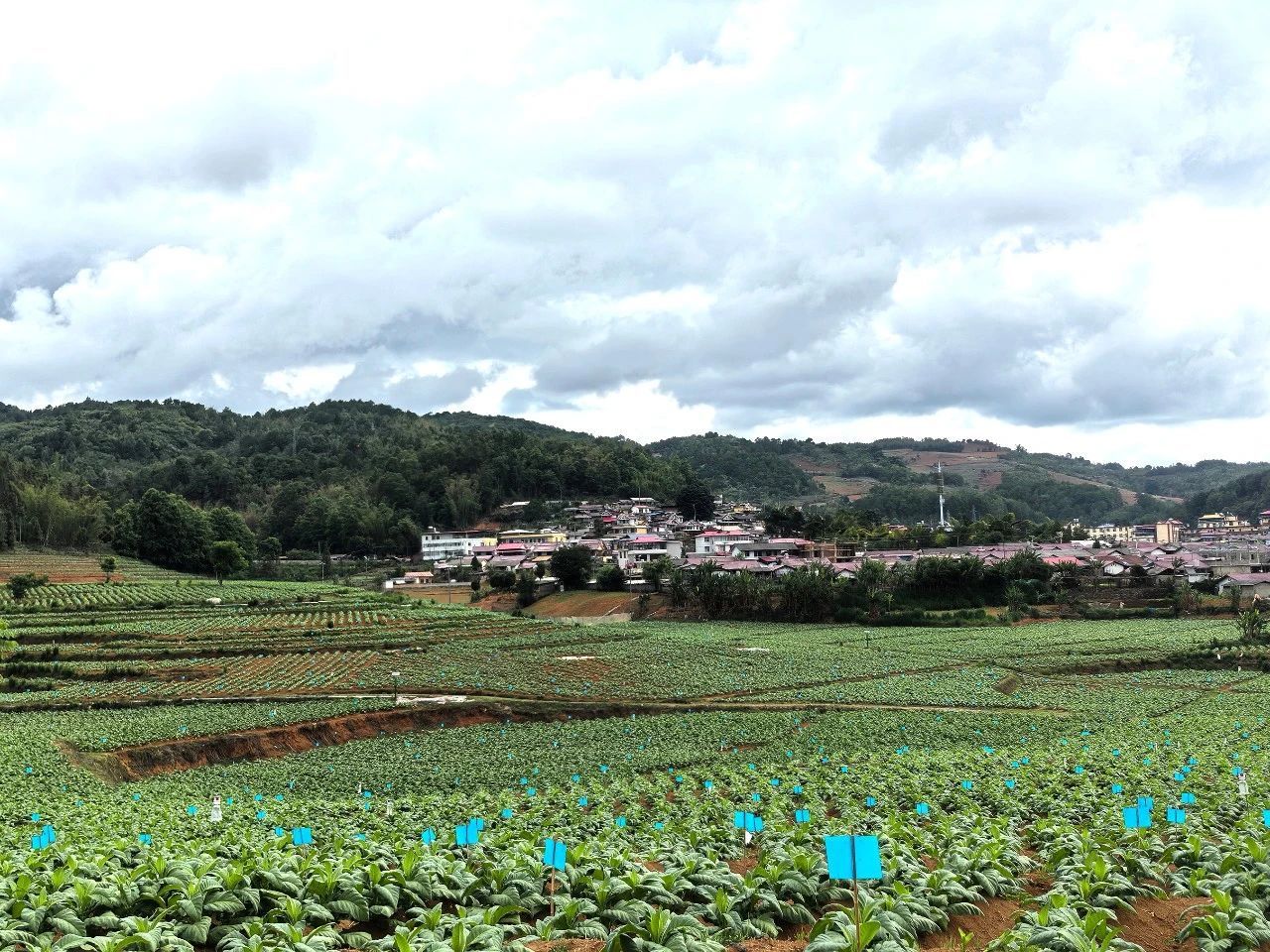 微信圖片_20250625161322.jpg 微信圖片_20250625161322.jpg