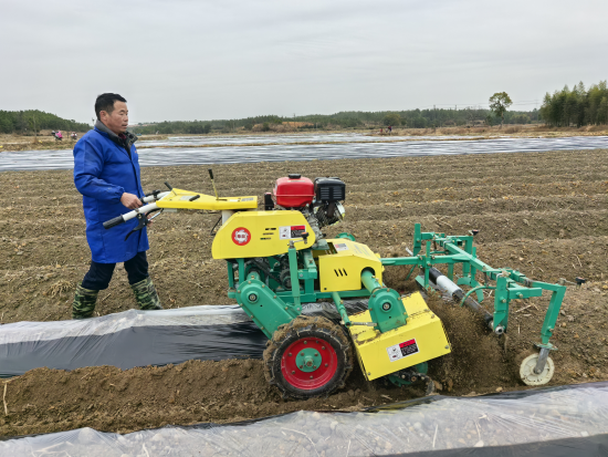 圖為煙農(nóng)使用新引進(jìn)的覆膜機(jī)