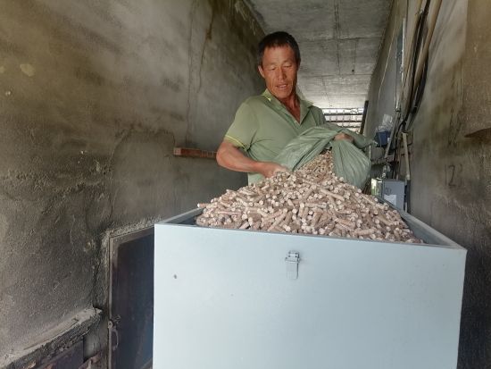 圖為煙農(nóng)李國忠往燃燒機(jī)里添加生物質(zhì)顆粒燃料