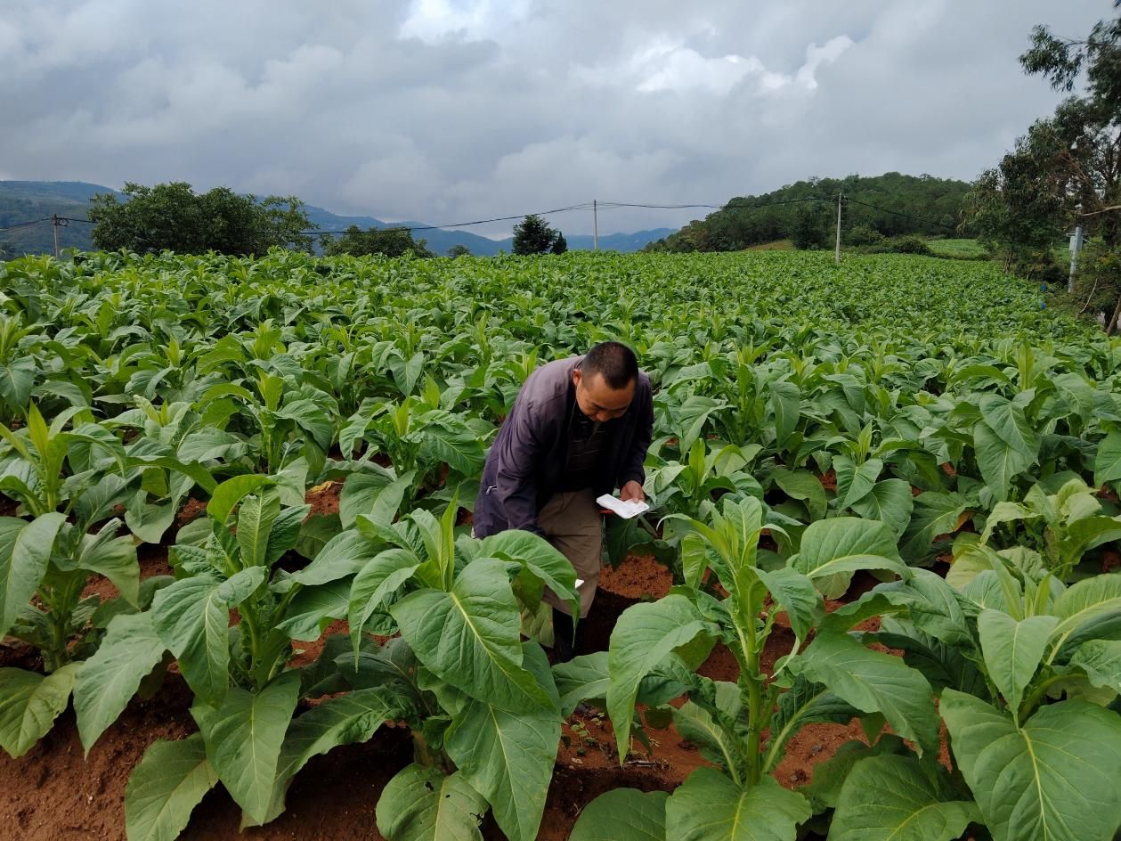 303b5da7-d5d6-4be5-94f8-f4033c2375b0.png 303b5da7-d5d6-4be5-94f8-f4033c2375b0.png