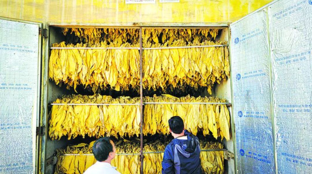 微信圖片_20250905104825.png 微信圖片_20250905104825.png