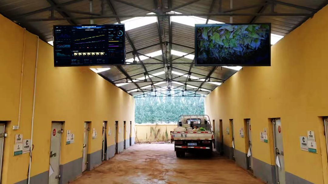 微信圖片_20250905104829.png 微信圖片_20250905104829.png