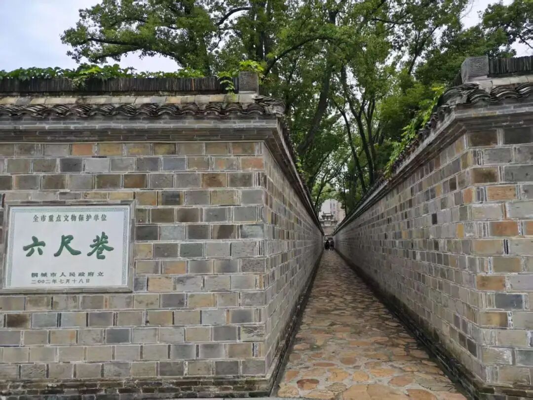 微信圖片_20250917103535.jpg