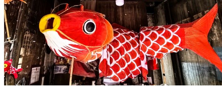 68d10c056b8e905bd1da74b7_m.jpg 68d10c056b8e905bd1da74b7_m.jpg